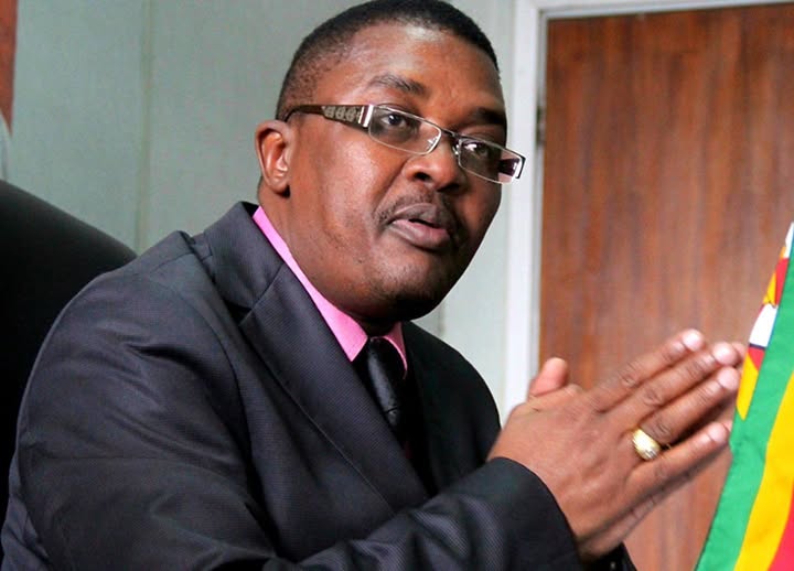 Mzembi’s Zanu-PF return hangs in the balance