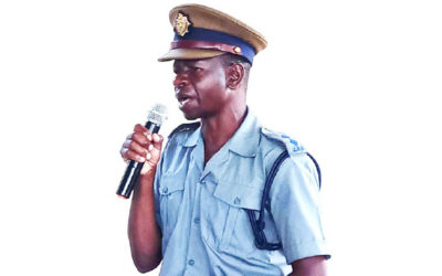 Roadside fire claims life of ZESA employee