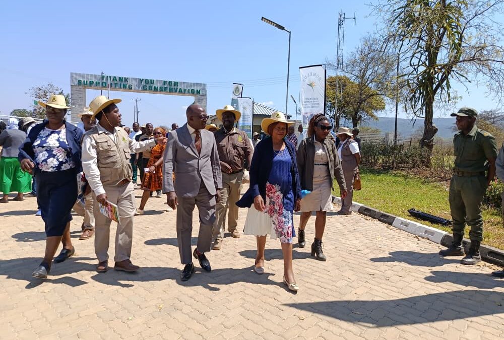 Poaching cases decline in Zimbabwe