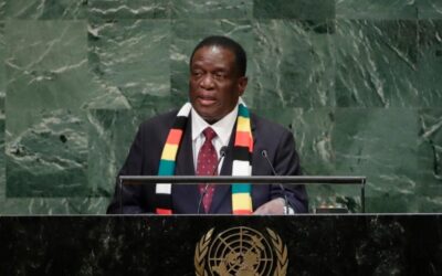 Zimbabwe sets out Security Council priorities