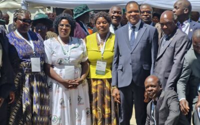 Govt activates drought plan ahead of El Niño