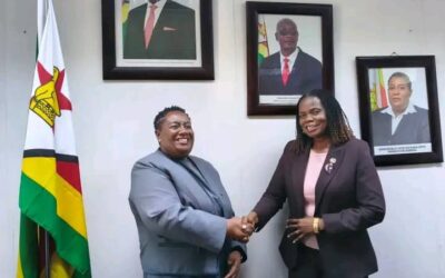 UN Women, NPAZ strengthen SGBV response