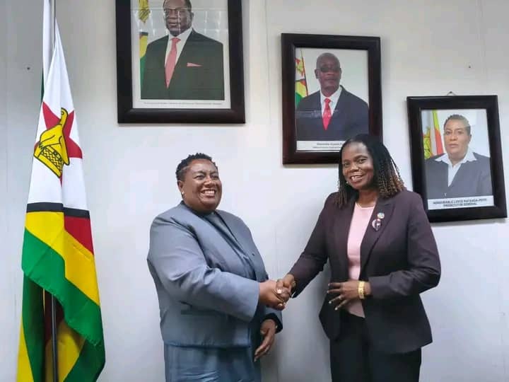 UN Women, NPAZ strengthen SGBV response