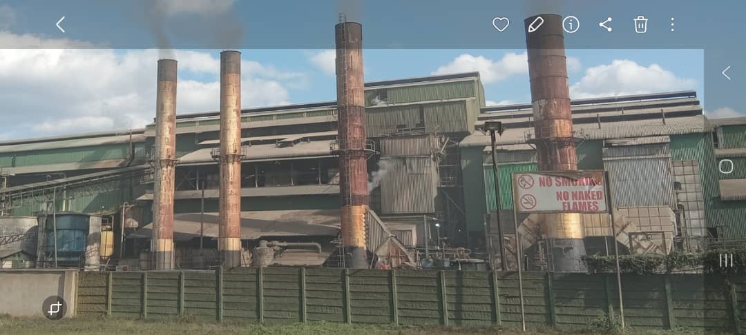Parliament pushes reforms to strengthen sugar industry