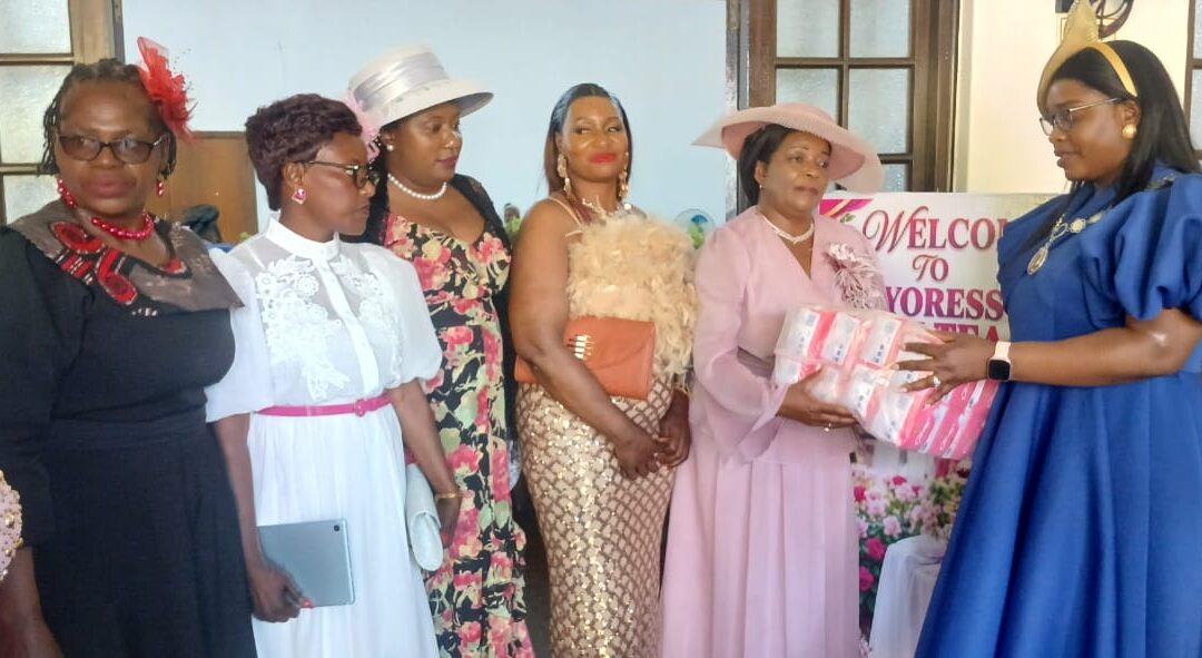 Gweru Mayor’s Cheerfund mobilises support for underprivileged girls