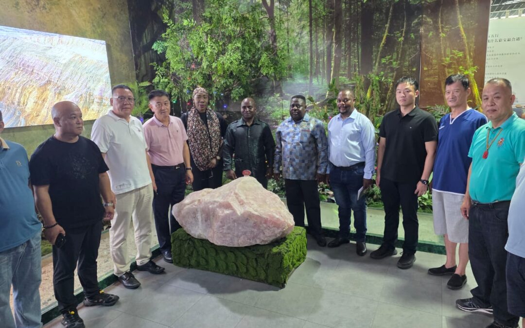 ZANU PF Economic Mission in Huizhou Invites Chinese Investors to Drive Industrial Value Addition