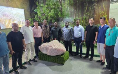 ZANU PF Economic Mission in Huizhou Invites Chinese Investors to Drive Industrial Value Addition
