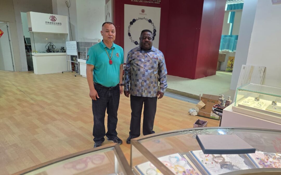 Dr. Rugeje signals shift in Zimbabwe’s industrial strategy in China