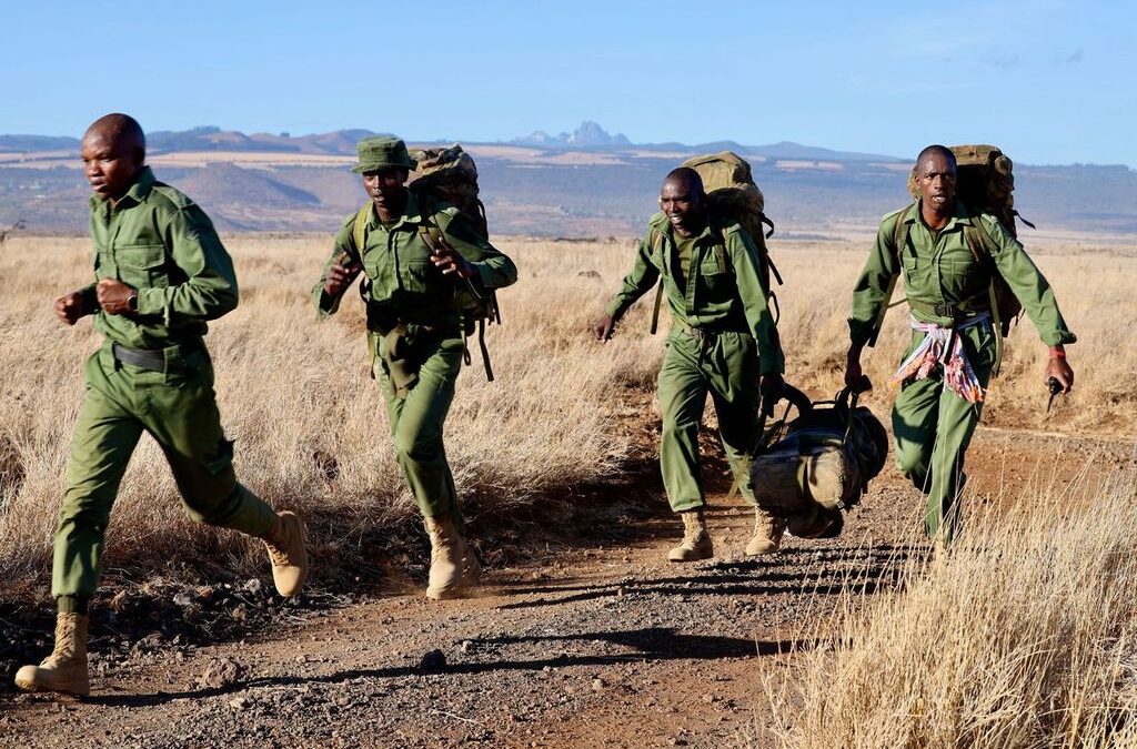 Africa’s wildlife ranger shortage threatens conservation, tourism
