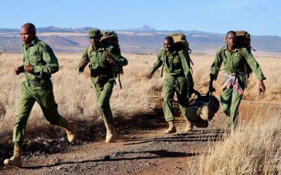 Africa’s wildlife ranger shortage threatens conservation, tourism