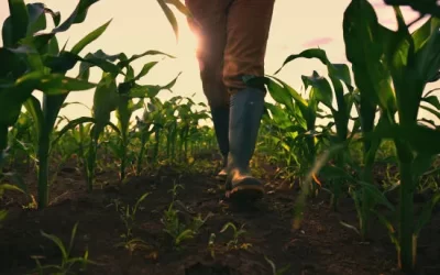 Retirees urged to turn land into productive assets