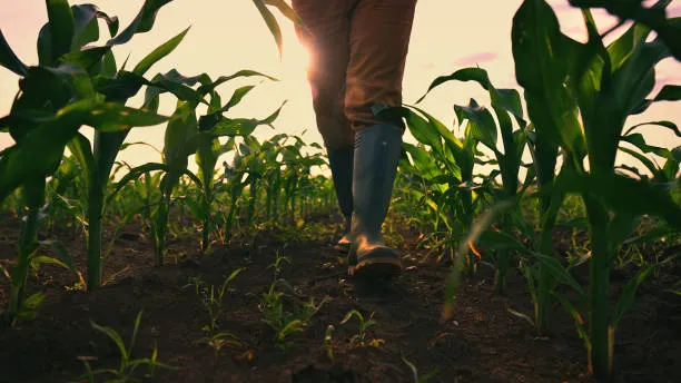 Retirees urged to turn land into productive assets