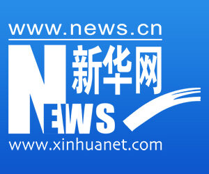 Asia-Pacific media vow responsibility, champion own voice in AI era