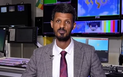 Expert: BRICS offers new opportunities for Africa’s economic growth