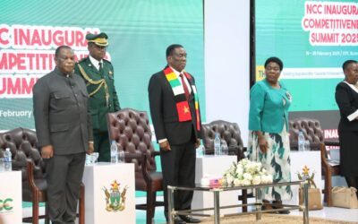 Zimbabwean economy remains resilient despite global tensions-President Mnangwagwa