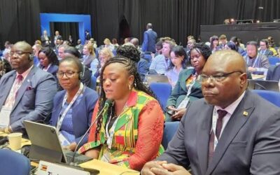 Call to harness ICT to drive inclusive development